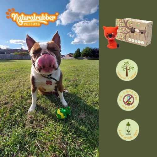 Top 10 Eco-Friendly Dog Toys Your Pup Will Love in 2023 - Natural rubber Pet Toys