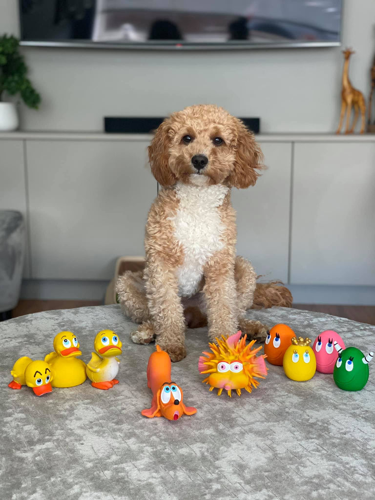 Dino Baby in Egg, Standing and Sitting Duckling 3-Set - Natural rubber Pet Toys