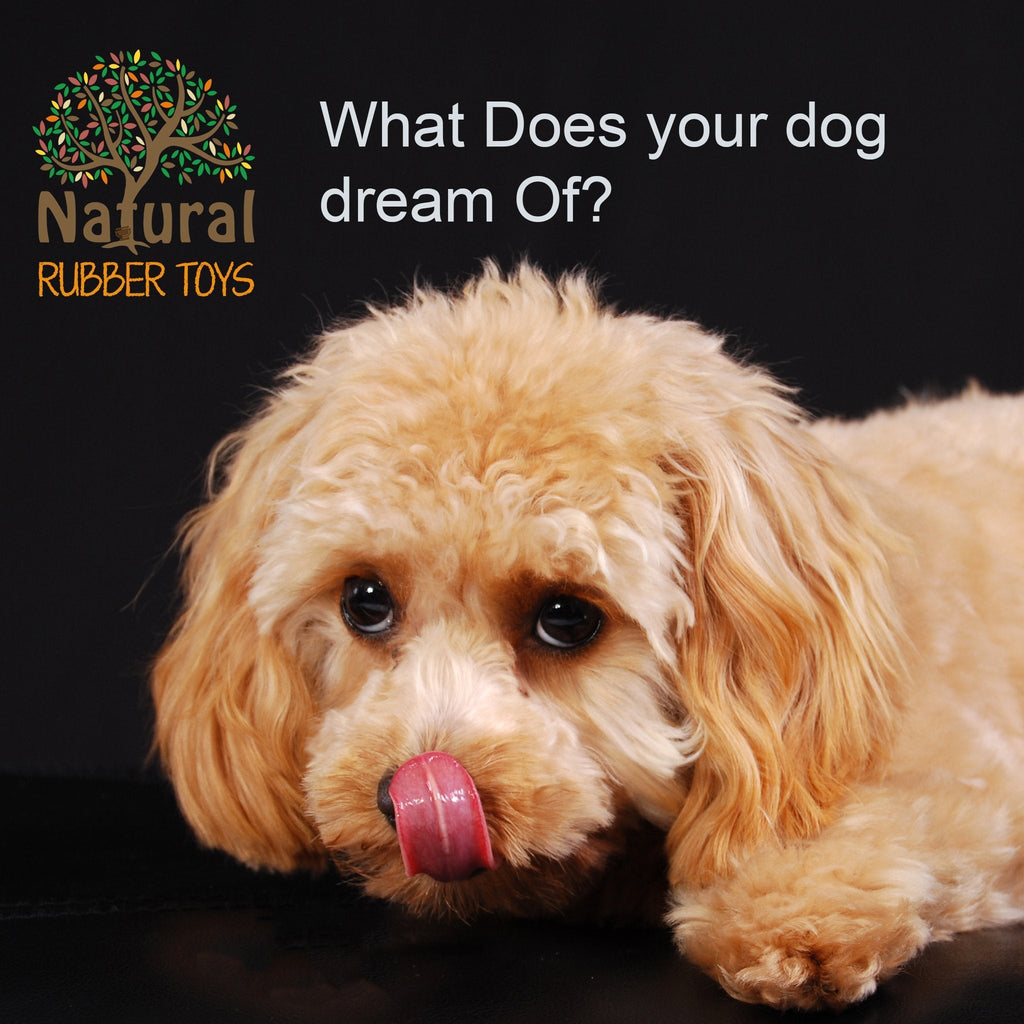 "Dreaming Dogs: Decoding Their Midnight Adventures!" - Natural rubber Pet Toys