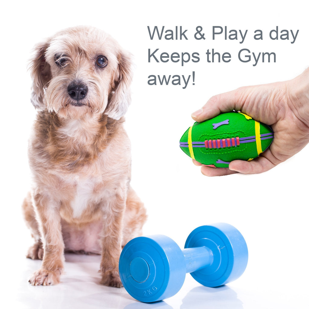 Walk Your Way to Wellness: The Dual Benefits for You & Your Pet! - Natural rubber Pet Toys