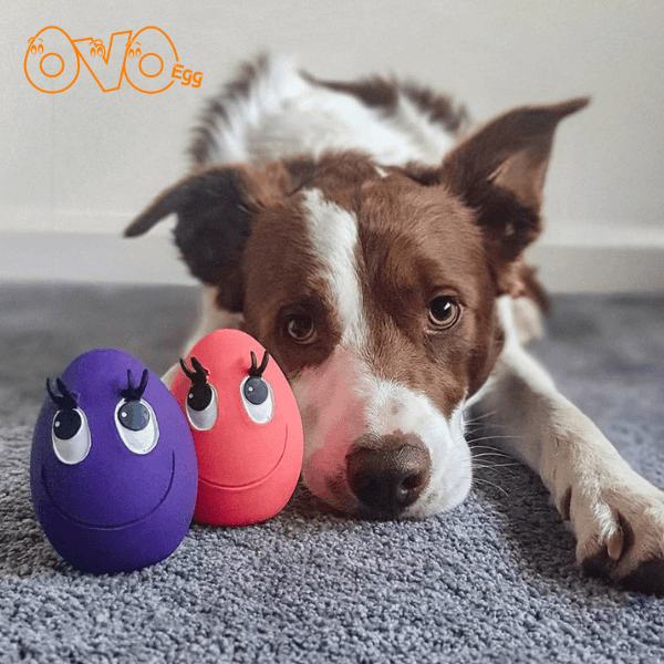 Ovo Eggs | Natural rubber Pet Toys