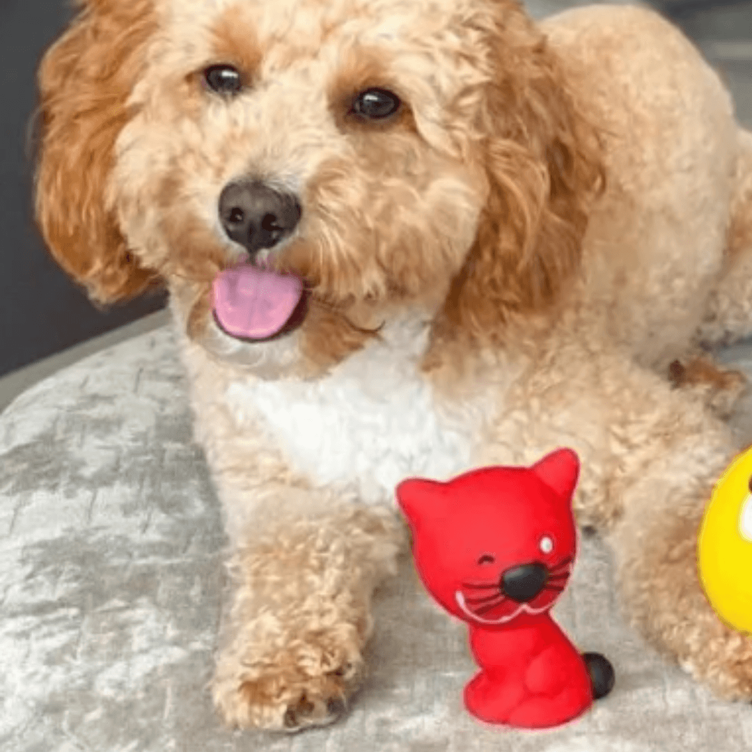 Dog Toy Natural Rubber Pet Toys