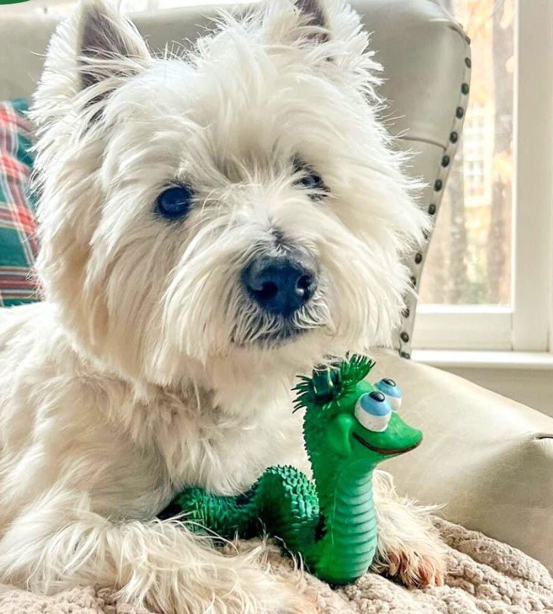 Snake Green - Natural rubber Pet Toys