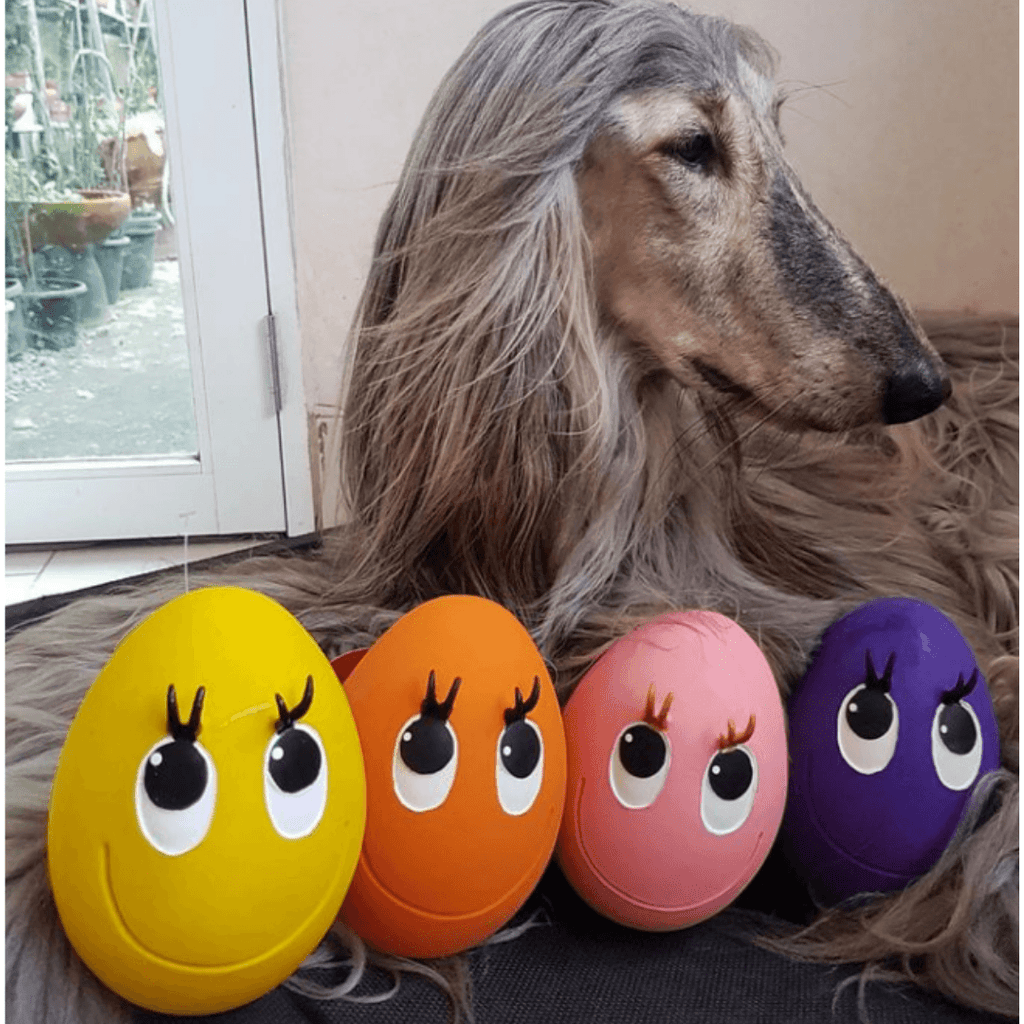 XXL OVO the Egg - Natural rubber Pet Toys